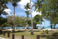 Karibikstrand in der Magens Bay