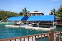 Schwimmbecken der Delfine