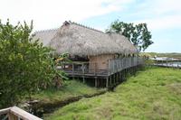 Miccosukee-Dorf im Everglades-Nationalpark