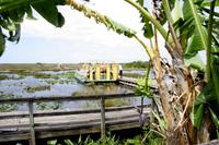 Miccosukee-Dorf im Everglades-Nationalpark