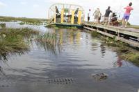 Propellerboot-Fahrt im Everglades-Nationalpark