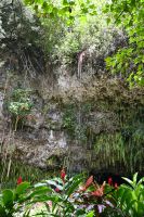Inselhüpfen Hawaii - Kauai - Fern Grotto (5) &ndash; &copy; Franziska Barthel (Eberhardt TRAVEL)