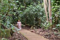 Inselhüpfen Hawaii - Kauai - Fern Grotto (9) &ndash; &copy; Franziska Barthel (Eberhardt TRAVEL)