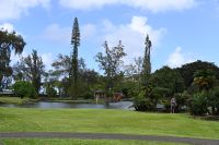 Inselhüpfen Hawaii - Big Island - Japanischer Garten Hilo (1) &ndash; &copy; Franziska Barthel (Eberhardt TRAVEL)