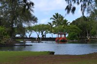 Inselhüpfen Hawaii - Big Island - Japanischer Garten Hilo (2) &ndash; &copy; Franziska Barthel (Eberhardt TRAVEL)