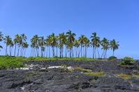 Inselhüpfen Hawaii - Big Island - Puuhonua'o Honaunau Nationalpark (4) &ndash; &copy; Franziska Barthel (Eberhardt TRAVEL)