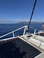 Inselhüpfen Hawaii - Maui - Katamaranfahrt (2) &ndash; &copy; Franziska Barthel (Eberhardt TRAVEL)