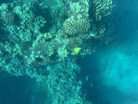 Inselhüpfen Hawaii - Maui - Katamaranfahrt (12) &ndash; &copy; Franziska Barthel (Eberhardt TRAVEL)