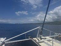 Inselhüpfen Hawaii - Maui - Katamaranfahrt (21) &ndash; &copy; Franziska Barthel (Eberhardt TRAVEL)