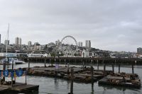 Inselhüpfen Hawaii -  San Francisco - Pier 39 (1) &ndash; &copy; Franziska Barthel (Eberhardt TRAVEL)