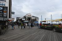 Inselhüpfen Hawaii -  San Francisco - Pier 39 (3) &ndash; &copy; Franziska Barthel (Eberhardt TRAVEL)