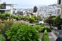 Inselhüpfen Hawaii -  San Francisco - Lombard Street (4) &ndash; &copy; Franziska Barthel (Eberhardt TRAVEL)