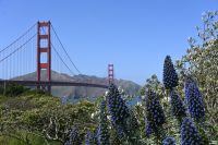 Inselhüpfen Hawaii -  San Francisco - Golden Gate Bridge (2) &ndash; &copy; Franziska Barthel (Eberhardt TRAVEL)