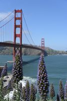Inselhüpfen Hawaii -  San Francisco - Golden Gate Bridge (5) &ndash; &copy; Franziska Barthel (Eberhardt TRAVEL)