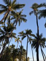 Inselhüpfen Hawaii - Oahu - Waikiki Beach (2) &ndash; &copy; Franziska Barthel (Eberhardt TRAVEL)
