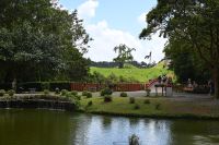 Inselhüpfen Hawaii - Oahu - Byodo-In Tempel (2) &ndash; &copy; Franziska Barthel (Eberhardt TRAVEL)