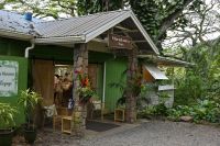 Inselhüpfen Hawaii - Oahu - Macadamia Farm &ndash; &copy; Franziska Barthel (Eberhardt TRAVEL)