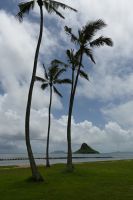Inselhüpfen Hawaii - Oahu - Chinese Man Hat Island (1) &ndash; &copy; Franziska Barthel (Eberhardt TRAVEL)