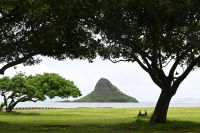 Inselhüpfen Hawaii - Oahu - Chinese Man Hat Island (3) &ndash; &copy; Franziska Barthel (Eberhardt TRAVEL)