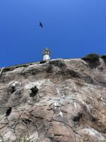 Alcatraz &ndash; &copy; Anne Fohlert (Eberhardt TRAVEL)
