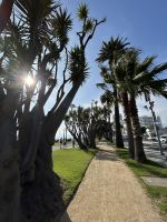 Stadtrundgang Santa Monica &ndash; &copy; Anne Fohlert (Eberhardt TRAVEL)