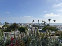 Stadtrundgang Santa Monica &ndash; &copy; Anne Fohlert (Eberhardt TRAVEL)