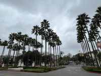 Stadtrundfahrt Los Angeles &ndash; &copy; Anne Fohlert (Eberhardt TRAVEL)