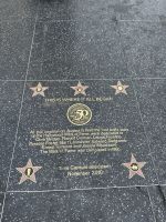 Stadtrundfahrt Los Angeles Walk of Fame &ndash; &copy; Anne Fohlert (Eberhardt TRAVEL)
