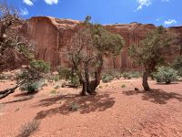 Monument Valley &ndash; &copy; Anne Fohlert (Eberhardt TRAVEL)