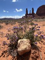 Monument Valley &ndash; &copy; Anne Fohlert (Eberhardt TRAVEL)
