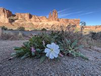 Arches Nationalpark &ndash; &copy; Anne Fohlert (Eberhardt TRAVEL)
