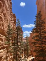 Bryce Nationalpark &ndash; &copy; Anne Fohlert (Eberhardt TRAVEL)