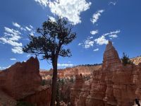 Bryce Nationalpark &ndash; &copy; Anne Fohlert (Eberhardt TRAVEL)
