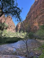 Zion Nationalpark &ndash; &copy; Anne Fohlert (Eberhardt TRAVEL)