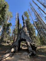 Yosemite Nationalpark &ndash; &copy; Anne Fohlert (Eberhardt TRAVEL)