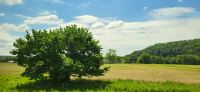 272 unterwegs durch Tennessee