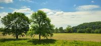 273 unterwegs durch Tennessee