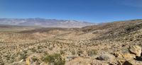 288 Paramint Valley