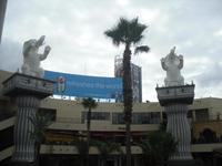 Am Hollywood-Boulevard