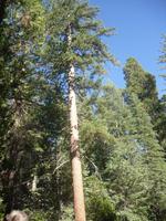 Im Yosemite-Nationalpark