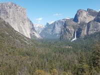 30. Der Yosemite National Park (1)