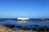 Monterey, 17-Miles-Drive - Bird Rock
