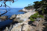 Monterey, 17-Miles-Drive