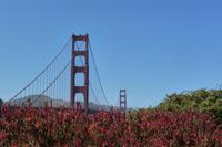 San Francisco, Golden Gate Bridge
