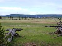 Morgen im Yellowstone NP