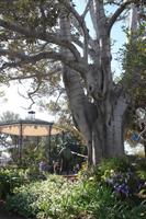 im Mexikanischen Viertel, Los Angeles