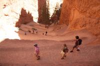 im Slalom hinunter ...