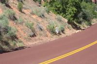 Sigrid beim Fotografieren