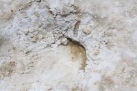 Wasser, Grund allen Lebens in einer lebensfeindlichen Umgebung