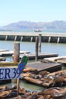Pier 39, im Hintergrund die Golden Gate Bridge
